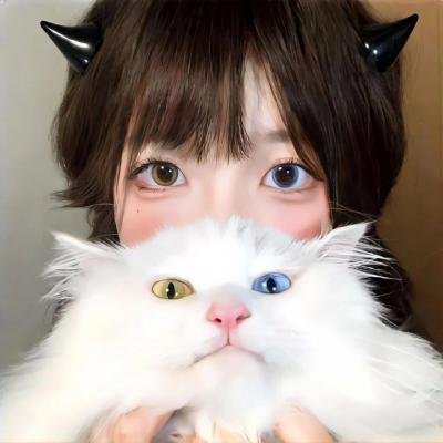 皮相猎影