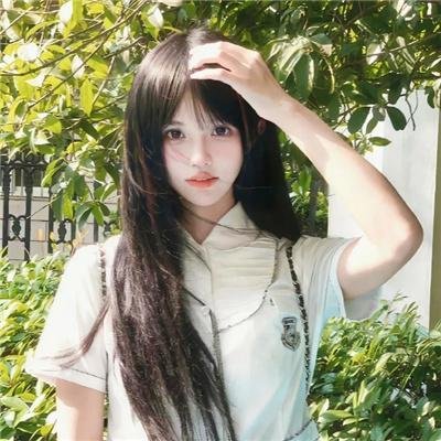 摇滚藏獒蓝色光芒